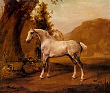 A Grey Stallion In A Landscape by George Stubbs